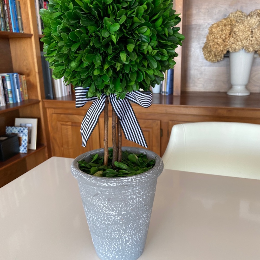 Fuax boxwood